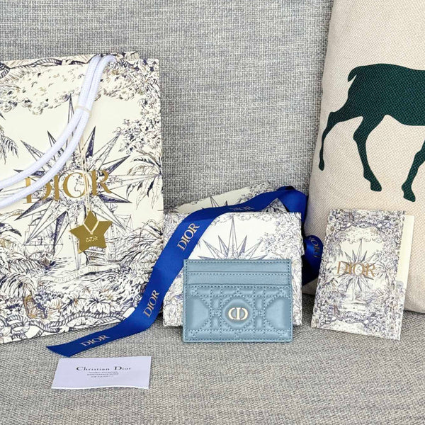 CARO FREESIA KARTENHÜLLE 10 AUS BABYBLAUEM CANNAGE-KALBSLEDER
